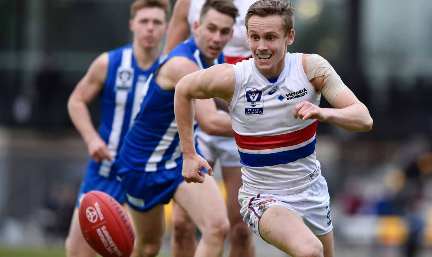 HERO_CALporter.jpg How did the AFL players perform in this Sunday's 20-point loss to North Melbourne? (Photo: Liz Vagg/Western Bulldogs) - Western Bulldogs,VFL
